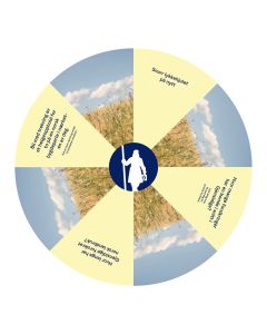 Lykkehjul Landbruk Ny